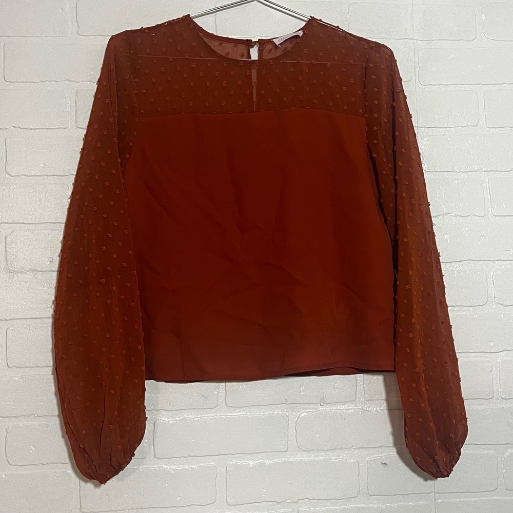 Pink Lily Womens Top Burnt Orange Sheer Balloon Sleeve Fall Long Sleeve Small - Picture 1 of 8